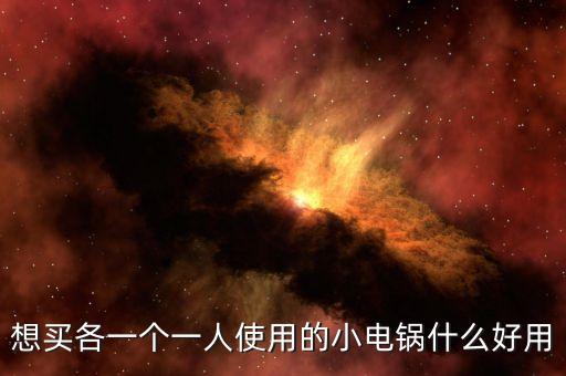 單人小電鍋，一個單人電鍋大約多少錢平時煮個面吃