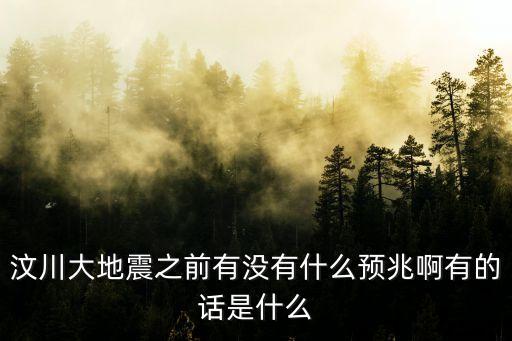 汶川大地震之前有沒有什么預兆啊有的話是什么