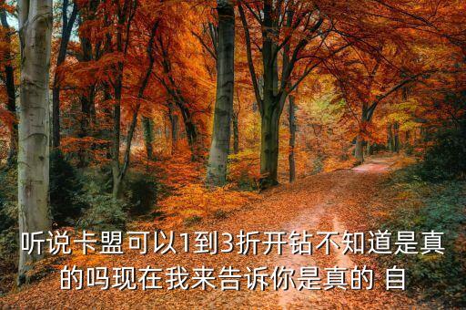 聽說卡盟可以1到3折開鉆不知道是真的嗎現(xiàn)在我來告訴你是真的 自