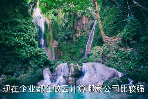 現(xiàn)在企業(yè)都在做云計(jì)算哪家公司比較強(qiáng)