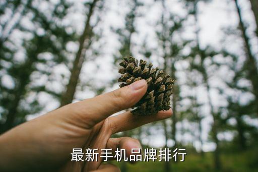 最新手機(jī)品牌排行