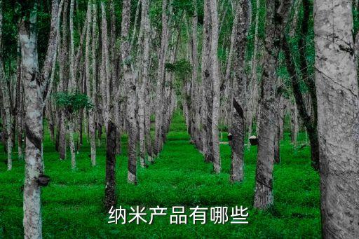 納米高科技的產(chǎn)品介紹，納米技術產(chǎn)品有哪些
