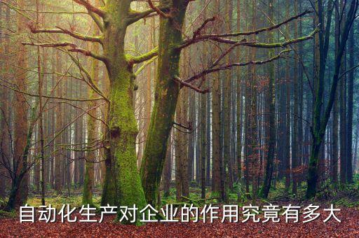 自動(dòng)化生產(chǎn)對(duì)企業(yè)的作用究竟有多大