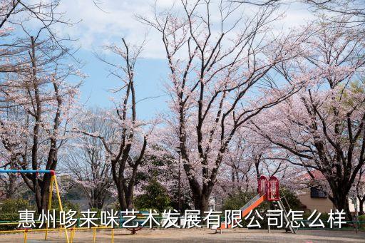 惠州哆來咪藝術發(fā)展有限公司怎么樣