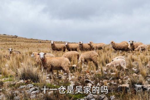 十一倉是吳家的嗎