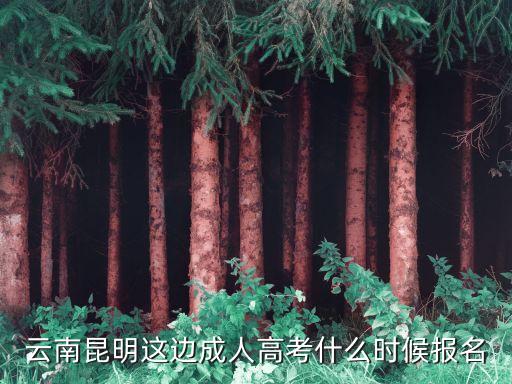 云南昆明這邊成人高考什么時候報名