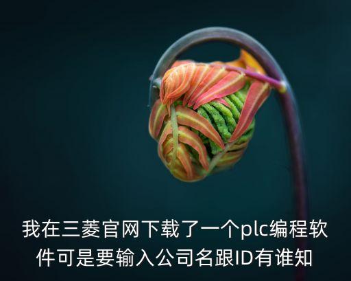 我在三菱官網(wǎng)下載了一個(gè)plc編程軟件可是要輸入公司名跟ID有誰(shuí)知
