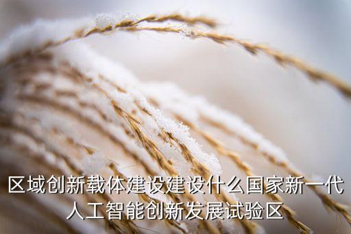 區(qū)域創(chuàng)新載體建設(shè)建設(shè)什么國家新一代人工智能創(chuàng)新發(fā)展試驗(yàn)區(qū)