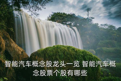 智能汽車龍頭股，智能汽車概念股上市公司有哪些