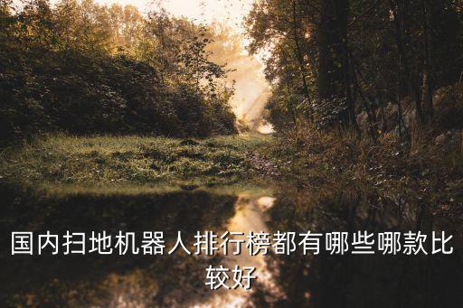 國產(chǎn)掃地機器人品牌十大排名，掃地機器人十大排名品牌是哪些