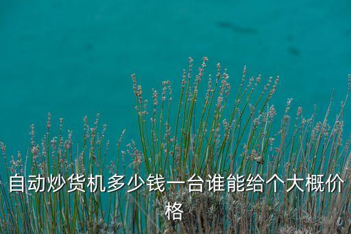 自動(dòng)炒貨機(jī)多少錢一臺(tái)誰(shuí)能給個(gè)大概價(jià)格
