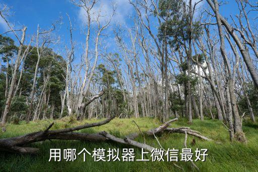 用哪個模擬器上微信最好