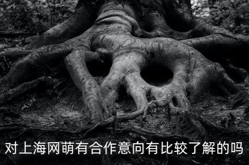 對上海網(wǎng)萌有合作意向有比較了解的嗎