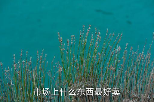 市場什么最好賣出去，目前市場上什么東西最好賣