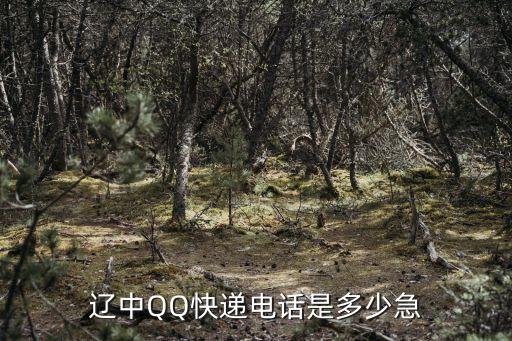 遼中哆來(lái)咪電話，遼中QQ快遞電話是多少急