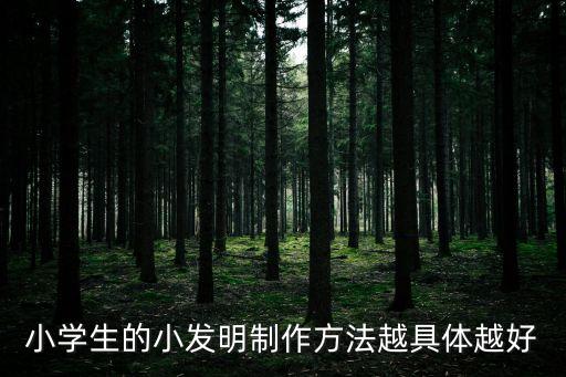 小學(xué)生手工科技小制作創(chuàng)意發(fā)明，小學(xué)生的小發(fā)明制作方法越具體越好