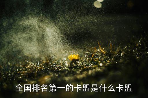 全國(guó)排名第一的卡盟是什么卡盟
