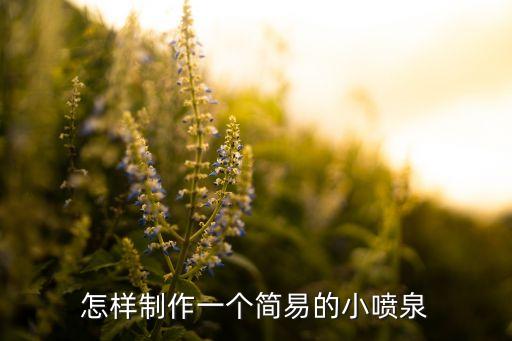 怎樣制作一個(gè)簡(jiǎn)易的小噴泉