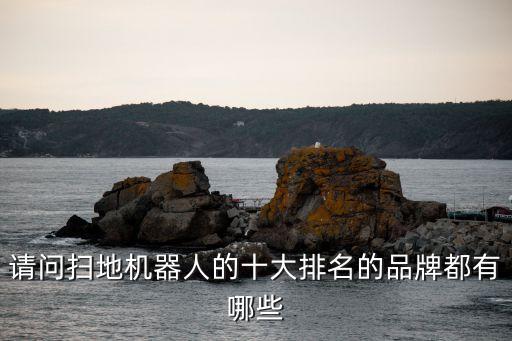 請問掃地機(jī)器人的十大排名的品牌都有哪些