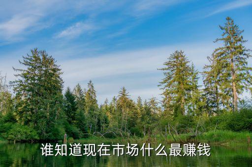 誰知道現(xiàn)在市場(chǎng)什么最賺錢
