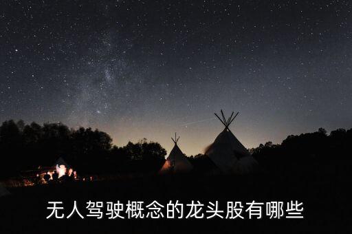 真正的無人駕駛龍頭股，無人駕駛概念的龍頭股有哪些