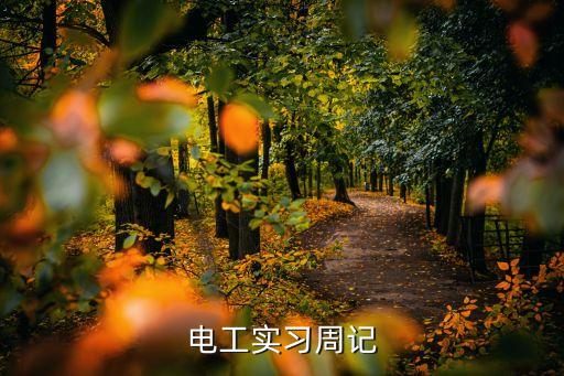 電工工作日記大全100篇，物業(yè)小區(qū)電工工作日志怎么寫