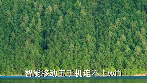 智能移動(dòng)寶APP，我買了個(gè)智能移動(dòng)寶可是那個(gè)百度云下載該怎么用呀