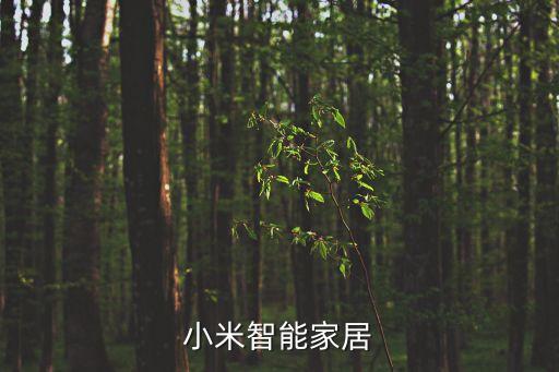 米家智能家居全屋定制，米索家居可以全屋定制嗎