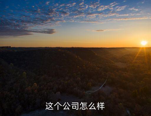 這個公司怎么樣