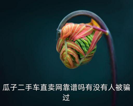 瓜子二手車直賣網(wǎng)靠譜嗎有沒有人被騙過