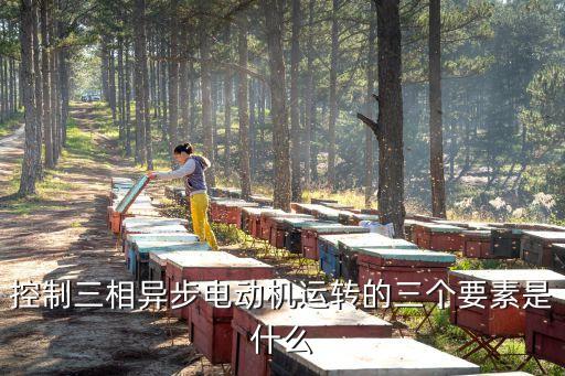 控制三相異步電動機(jī)運(yùn)轉(zhuǎn)的三個要素是什么