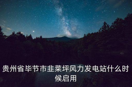 貴州省畢節(jié)市韭菜坪風(fēng)力發(fā)電站什么時(shí)候啟用