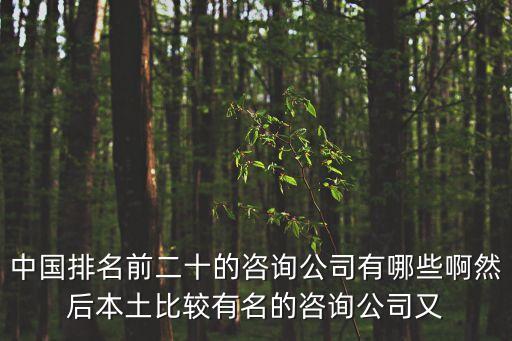 中國排名前二十的咨詢公司有哪些啊然后本土比較有名的咨詢公司又