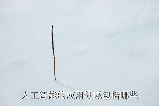 人工智能的應(yīng)用領(lǐng)域包括哪些