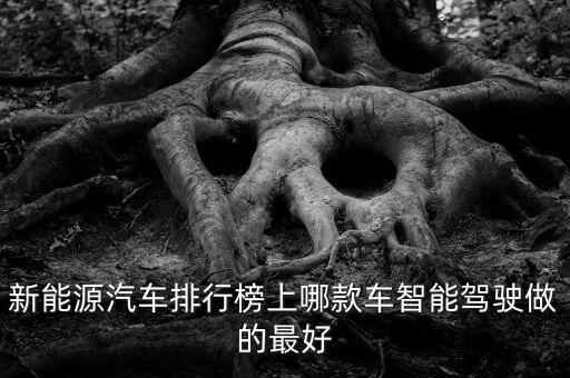 自動駕駛那個最好，自動駕駛技術(shù)哪個公司好