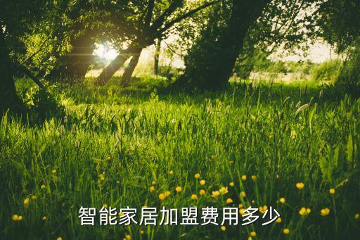 華為智能家居加盟費用多少錢，智能家居加盟費用多少