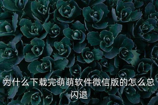 為什么下載完萌萌軟件微信版的怎么總閃退