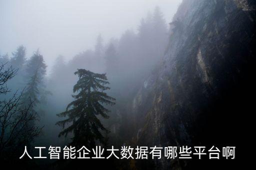 人工智能企業(yè)大數(shù)據(jù)有哪些平臺(tái)啊