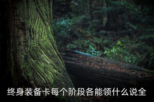 終身裝備卡每個(gè)階段各能領(lǐng)什么說全