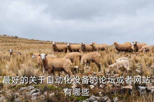 最好的關(guān)于自動(dòng)化設(shè)備的論壇或者網(wǎng)站有哪些