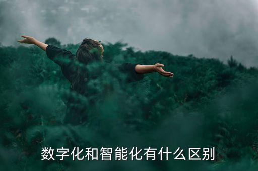 數(shù)字化和智能化有什么區(qū)別