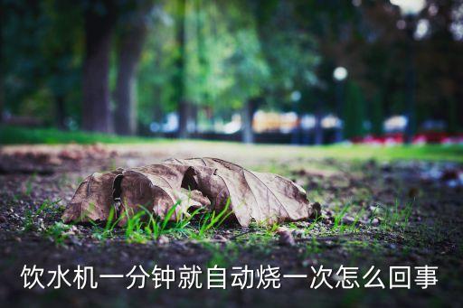 飲水機(jī)一分鐘就自動(dòng)燒一次怎么回事