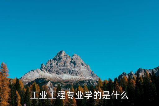 工業(yè)工程專業(yè)學(xué)的是什么
