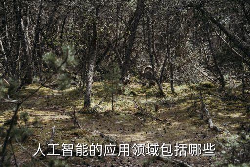 人工智能的應(yīng)用領(lǐng)域包括哪些