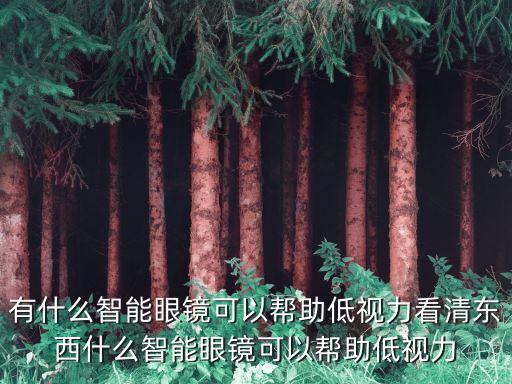 有什么智能眼鏡可以幫助低視力看清東西什么智能眼鏡可以幫助低視力