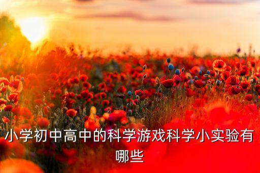 科技類游戲小學(xué)生，哪位知道生活中有哪些科學(xué)小游戲便于小學(xué)生了解與掌握的  搜