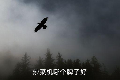 炒菜機哪個牌子好