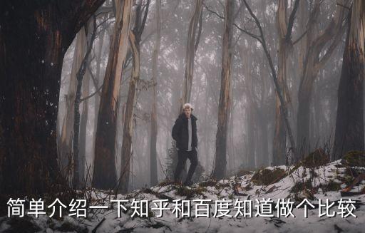 簡單介紹一下知乎和百度知道做個(gè)比較