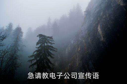 科技公司的宣傳廣告語五十字內(nèi)容，急請(qǐng)教電子公司宣傳語