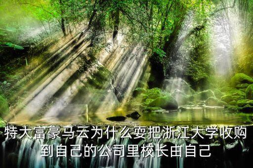 特大富豪馬云為什么耍把浙江大學(xué)收購(gòu)到自己的公司里校長(zhǎng)由自己